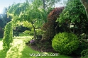 wbgarden spring 48